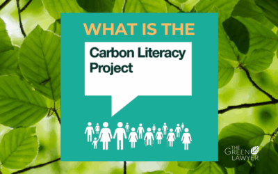 How to achieve your low-carbon business goals