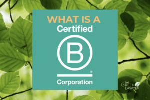 This image shows greenery and leaves with the B Corp logo