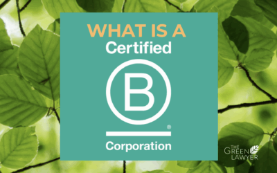 What is a B Corp? Explained simply
