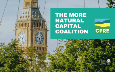 10 Practical steps towards a greener borough