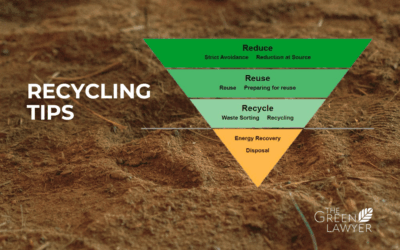 How to recycle properly- not everyone does!