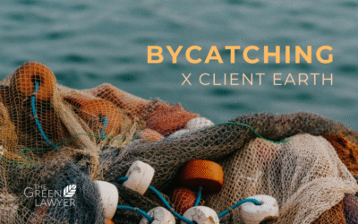 Call for an end to bycatching. It kills 200,000 seabirds a year.
